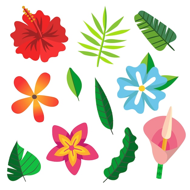 Collection De Fleurs Et De Feuilles Tropicales