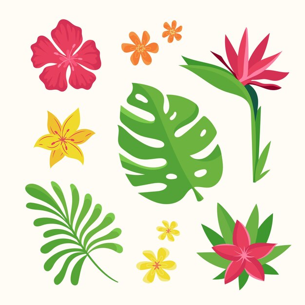 Collection de fleurs et de feuilles tropicales