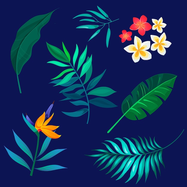 Collection De Fleurs Et De Feuilles Tropicales