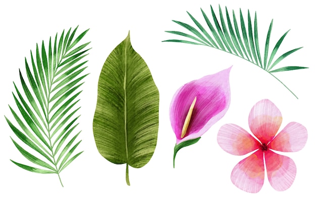 Vecteur gratuit collection de fleurs et de feuilles tropicales