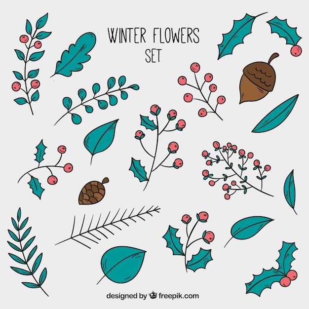Vecteur gratuit collection de fleurs d'hiver dessinées à la main