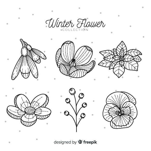 Vecteur gratuit collection de fleurs d'hiver dessinés à la main