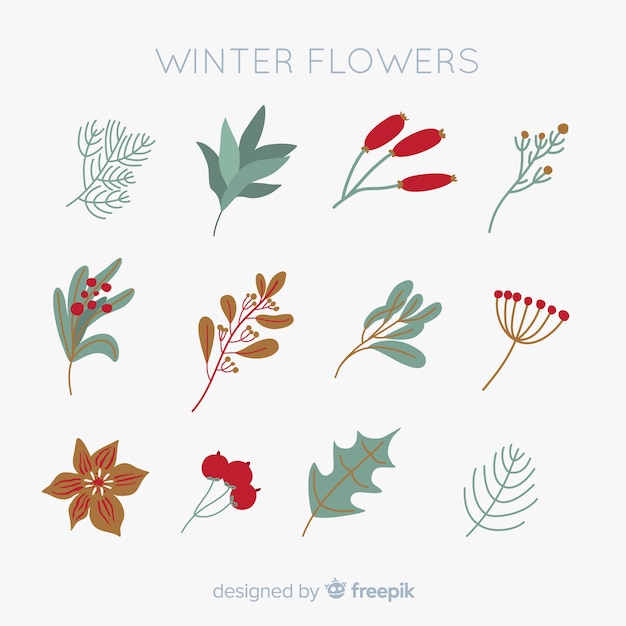 Vecteur gratuit collection de fleurs d'hiver dessinés à la main