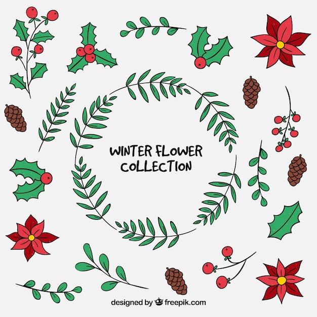 Vecteur gratuit collection de fleurs d'hiver