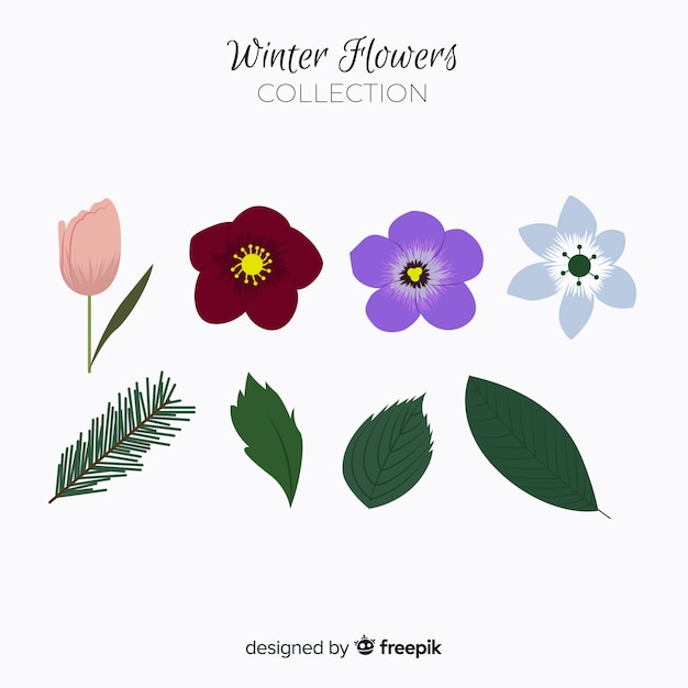 Collection De Fleurs D'hiver