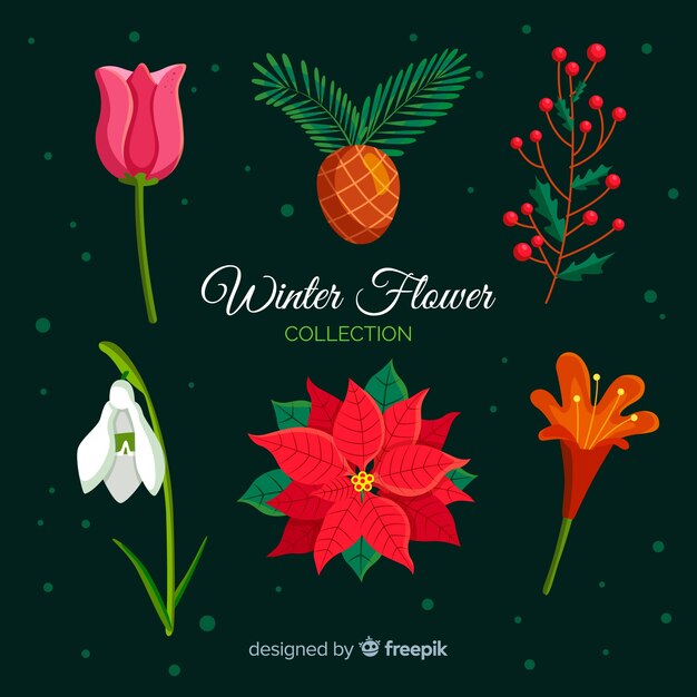 Collection de fleurs d&#39;hiver