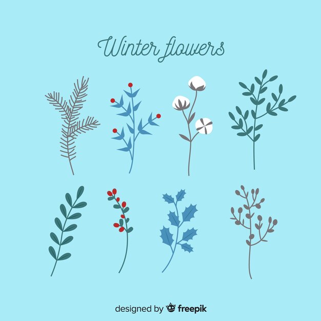 Collection de fleurs d&#39;hiver