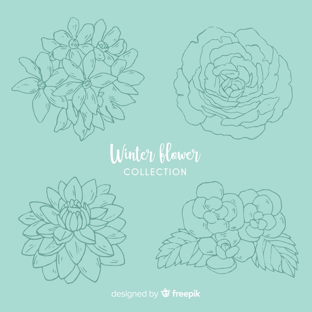 Collection De Fleurs D'hiver