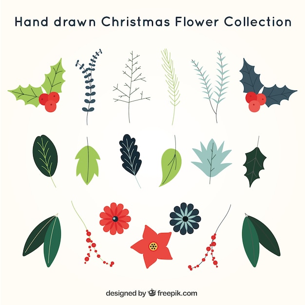 Collection De Fleurs De Noël Dessinées à La Main