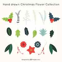 Vecteur gratuit collection de fleurs de noël dessinées à la main