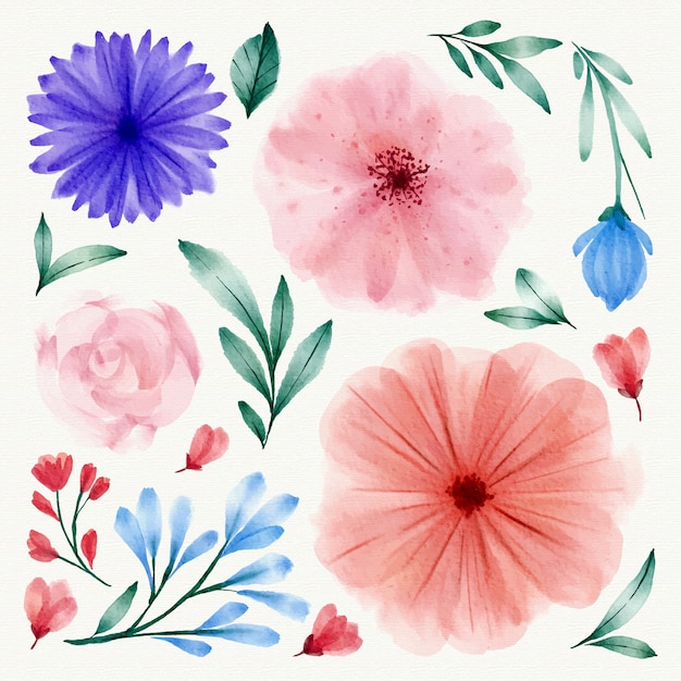 Collection de fleurs de printemps aquarelle