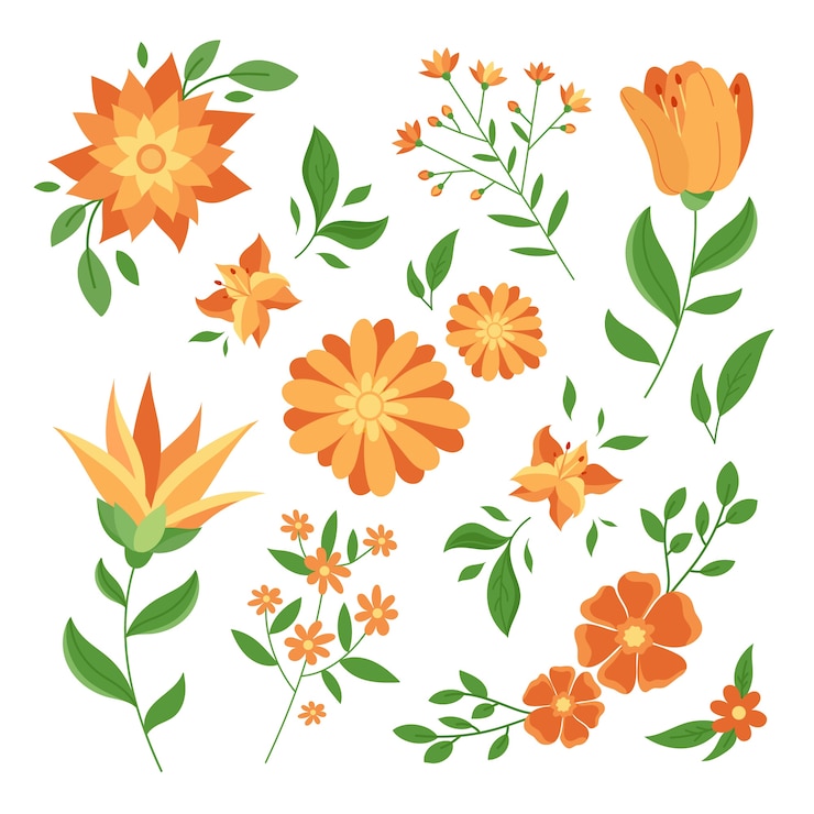 Vecteur gratuit collection de fleurs de printemps dessinées à la main