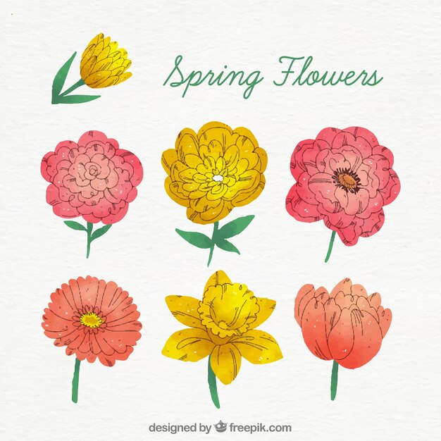 Collection de fleurs de printemps dessinés à la main