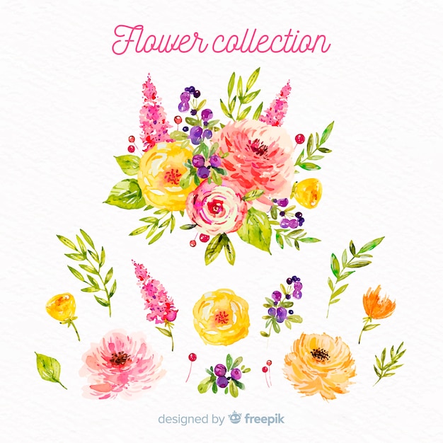 Vecteur gratuit collection de fleurs de printemps