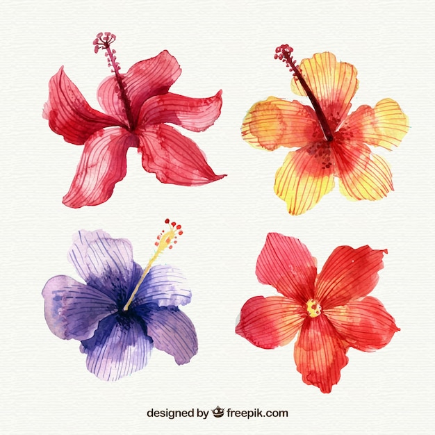 Vecteur gratuit collection de fleurs tropicales dans un style aquarelle