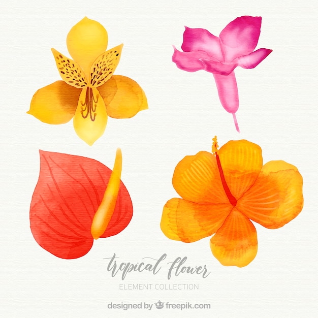 Collection de fleurs tropicales dans un style aquarelle