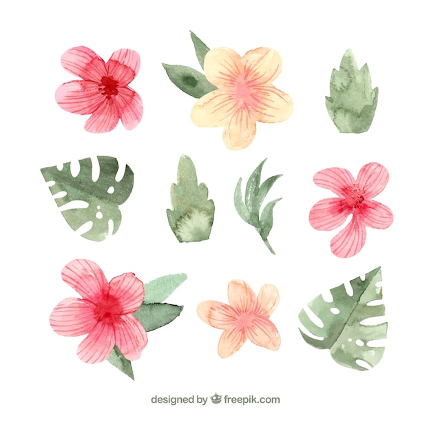 Collection de fleurs tropicales dans un style aquarelle