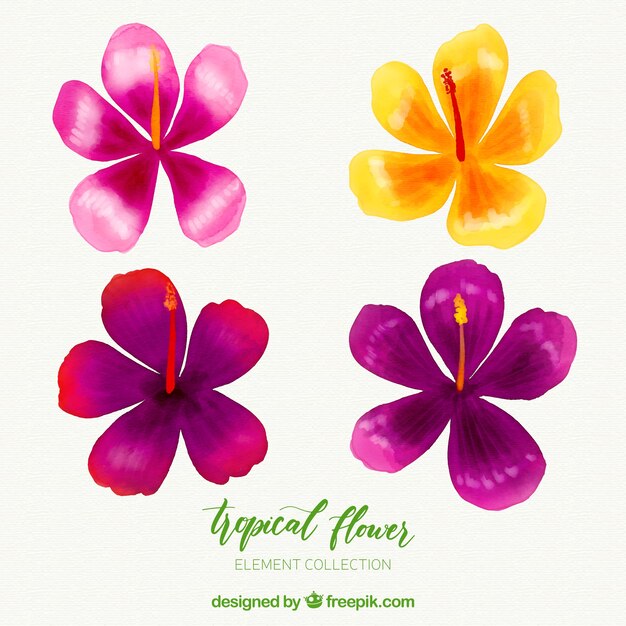 Collection de fleurs tropicales dans un style aquarelle