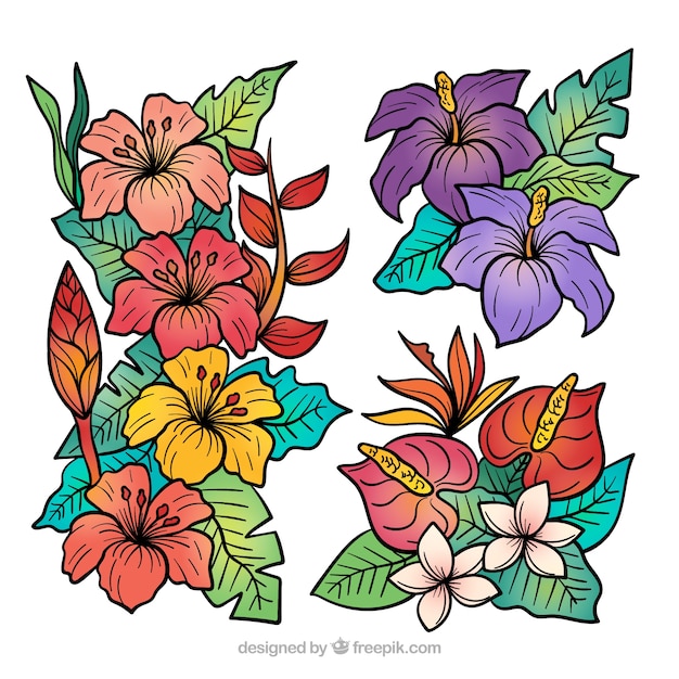 Collection de fleurs tropicales dessinés à la main belle