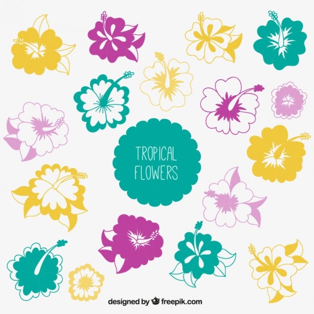 Vecteur gratuit collection de fleurs tropicales