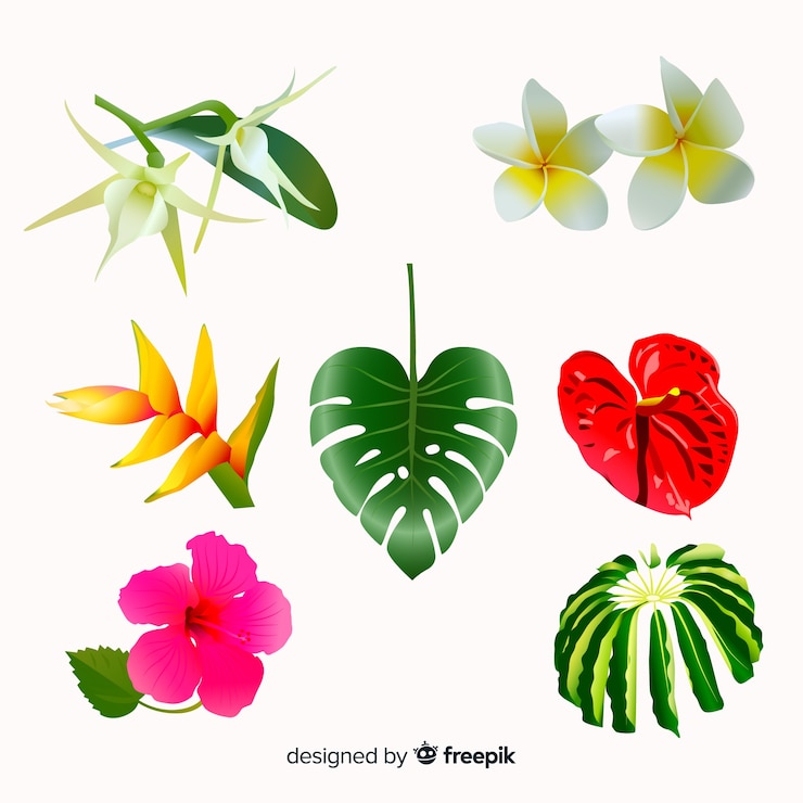 Vecteur gratuit collection de fleurs tropicales