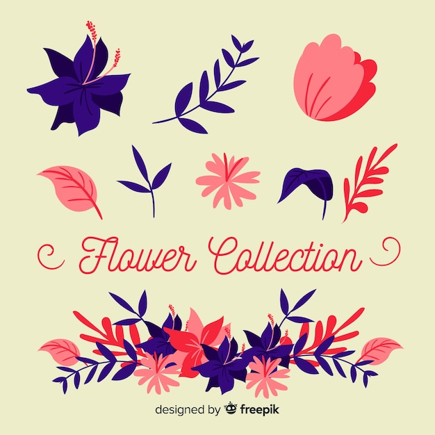 Collection Florale Moderne Avec Design Plat