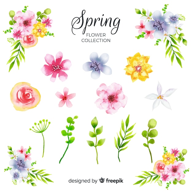 Collection florale de printemps aquarelle