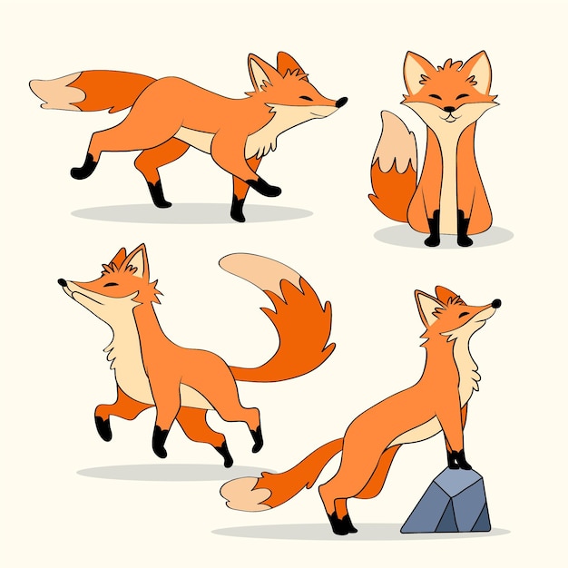 Vecteur gratuit collection fox dessinée à la main