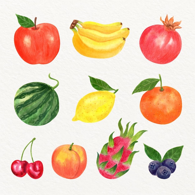 Collection de fruits aquarelle peinte à la main