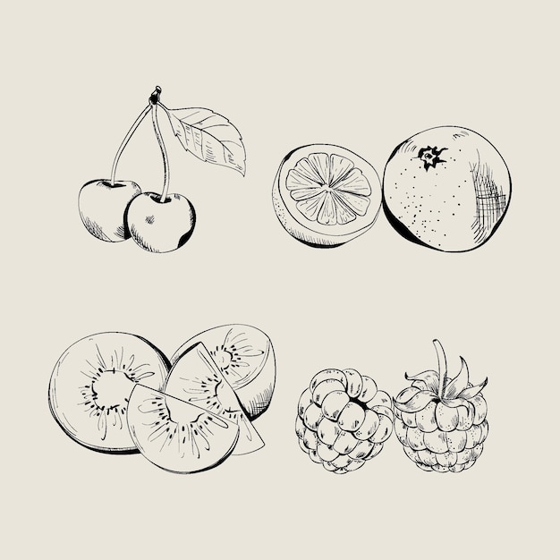 Vecteur gratuit collection de fruits dessinés à la main de gravure