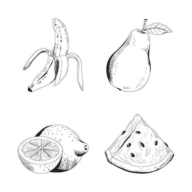 Vecteur gratuit collection de fruits dessinés à la main de gravure