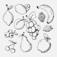 Vecteur gratuit collection de fruits dessinés à la main de gravure