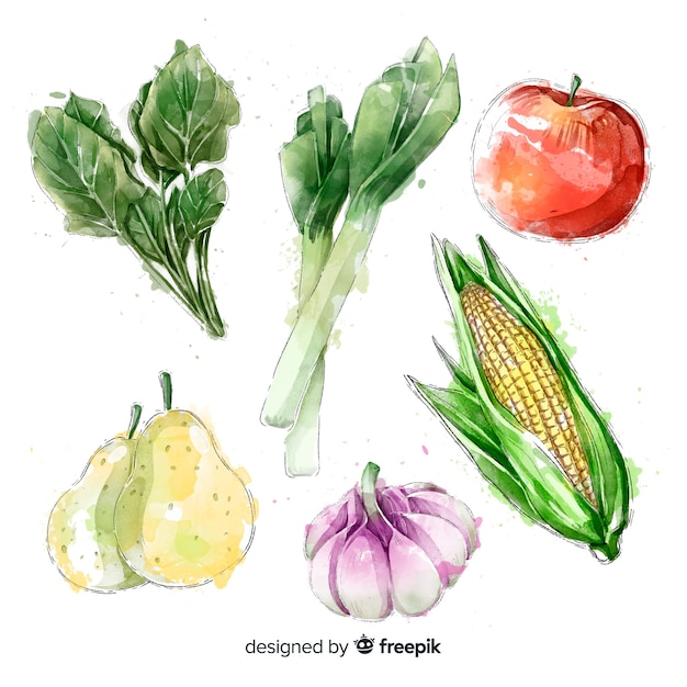 Collection de fruits et légumes à l&#39;aquarelle