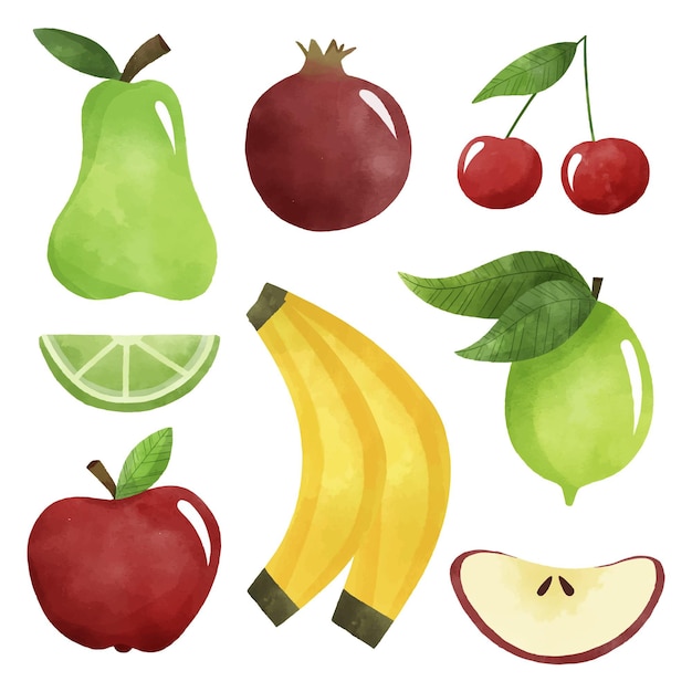 Collection de fruits