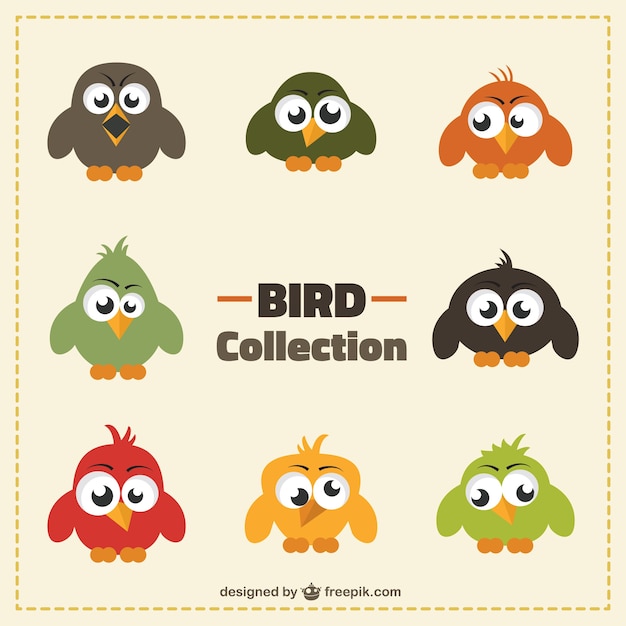 Vecteur gratuit collection funny bird