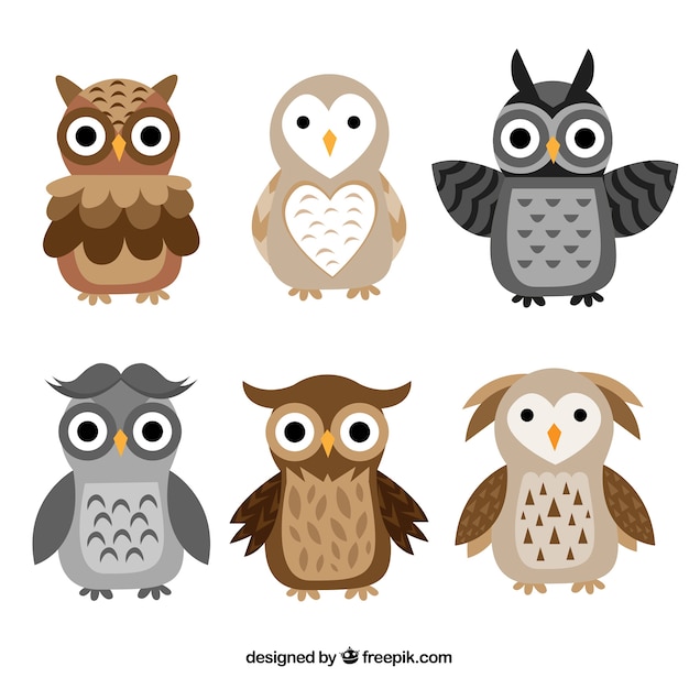 Vecteur gratuit collection de hibou plat