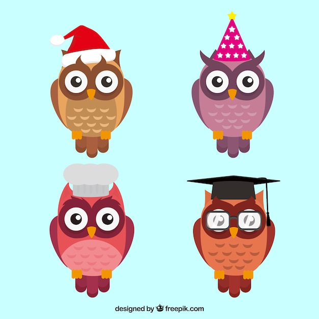 Vecteur gratuit collection de hibou plat