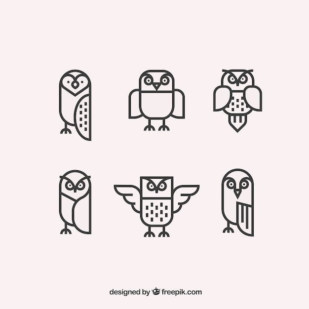 Vecteur gratuit collection de hibou plat