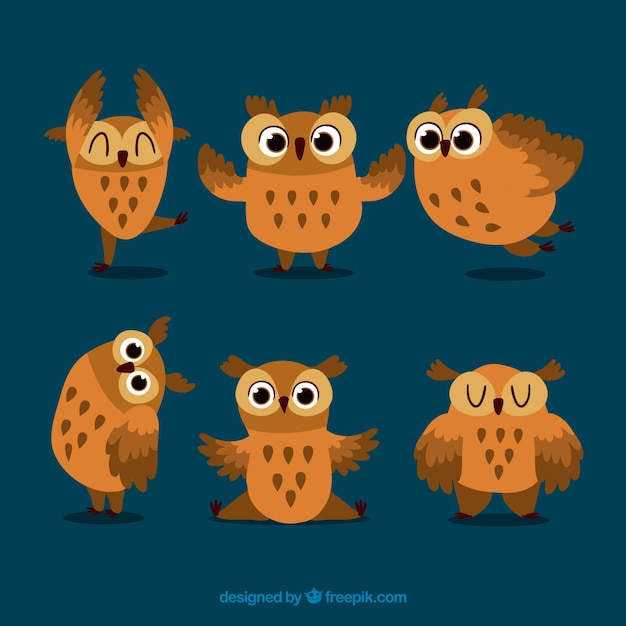 Vecteur gratuit collection de hibou plat