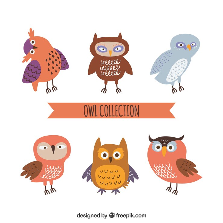 Vecteur gratuit collection de hibou de six