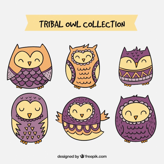 Collection De Hibou Tribal Pourpre