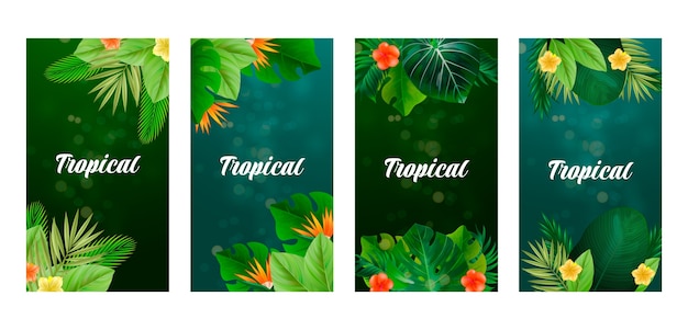 Vecteur gratuit collection d'histoires ig de feuilles tropicales réalistes