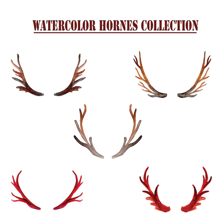 Vecteur gratuit collection horns aquarelle