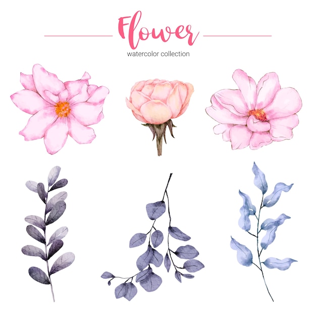 Collection d'illustration aquarelle belle fleur