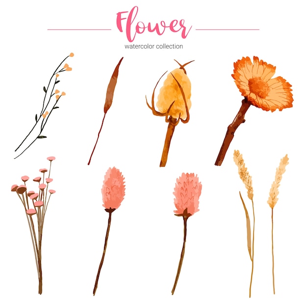 Vecteur gratuit collection d'illustration aquarelle belle fleur