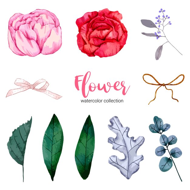 Collection d'illustration aquarelle belle fleur