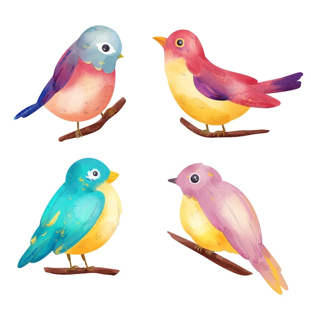 Collection d'illustration d'oiseau aquarelle
