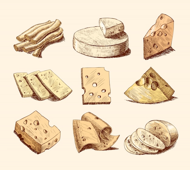 Vecteur gratuit collection d'illustrations de croquis de fromage