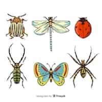 Vecteur gratuit collection d'insectes colorés dessinés à la main