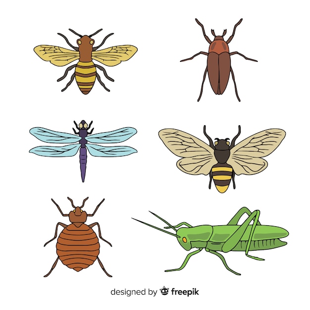 Vecteur gratuit collection d'insectes colorés dessinés à la main